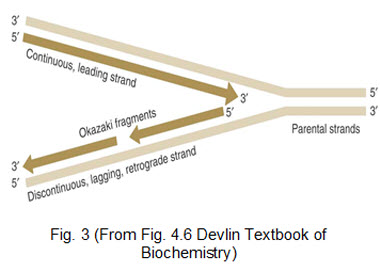 Fig3.jpg