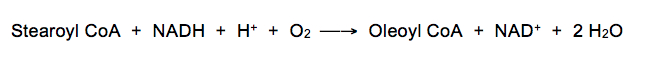 Desaturation-of-fatty-acids.jpg